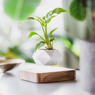 Pot de plantes à bonsaï flottant à lévitation magnétique - Non
