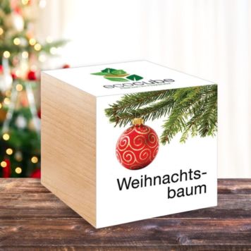 Ecocube de Noël - Plantes dans cubes en bois