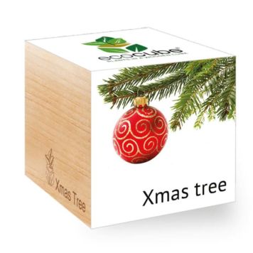 Arbre de Noël (anglais) - Ecocube plantes dans cubes en bois